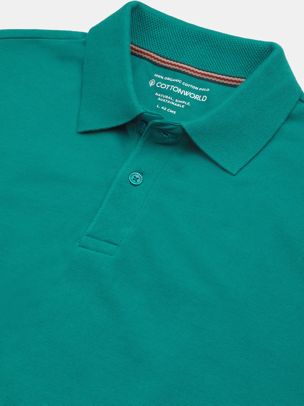 Men's Teal 100% Organic Cotton Regular Fit Tshirt