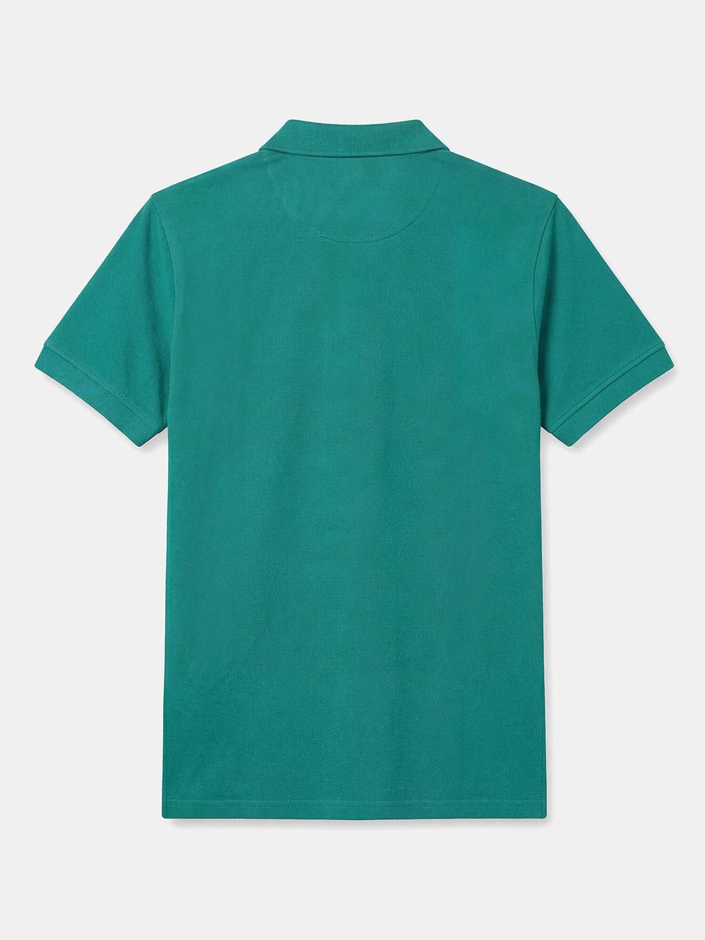 Men's Teal 100% Organic Cotton Regular Fit Tshirt