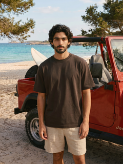 Men's Brown 100% Organic Cotton Regular Fit Tshirt