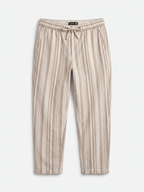 Men's Brown 100% Cotton Regular Fit Pant
