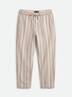 Men's Brown 100% Cotton Regular Fit Pant