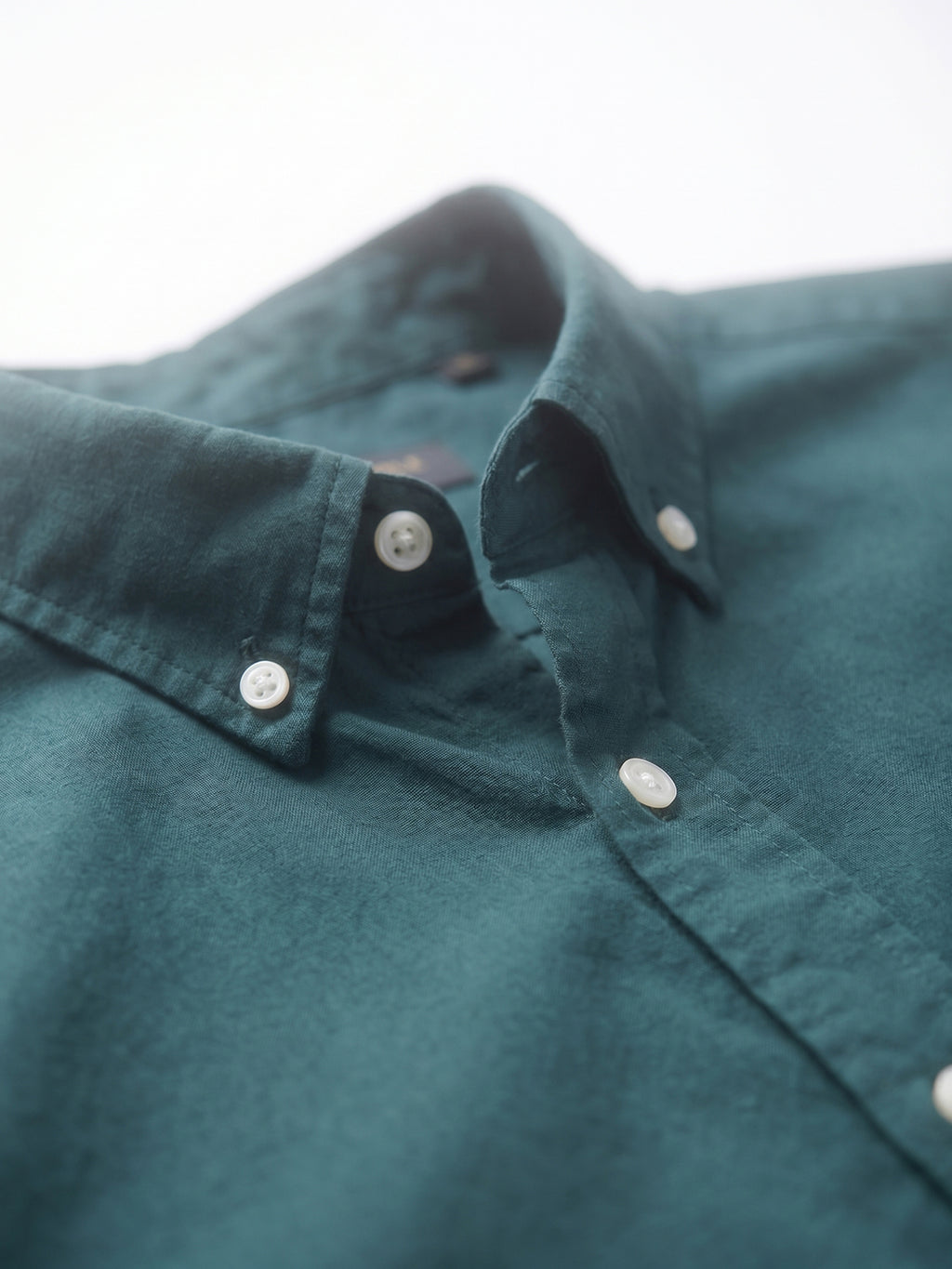 Men's Green 100% Cotton Regular Fit Shirt