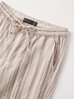 Men's Brown 100% Cotton Regular Fit Pant