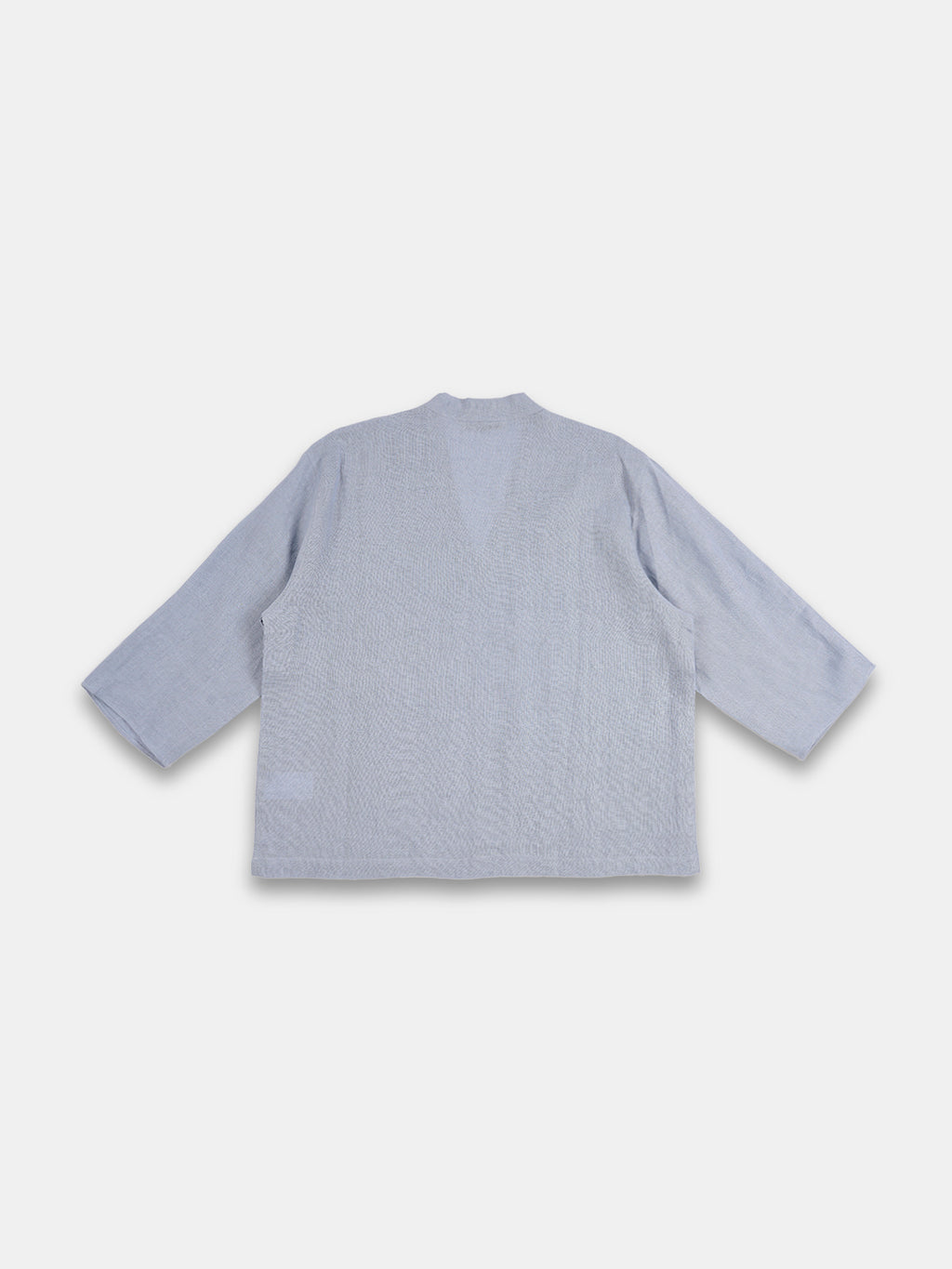 Women's Light Blue 100% Linen Regular Fit Blouse