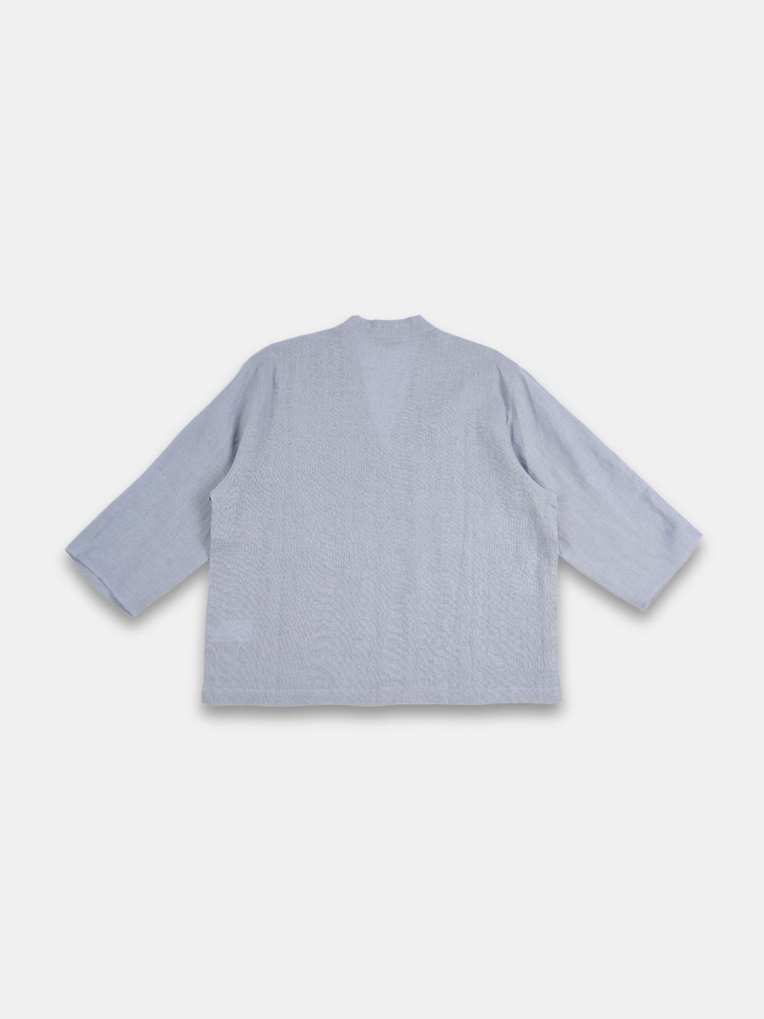 Women's Light Blue 100% Linen Regular Fit Blouse