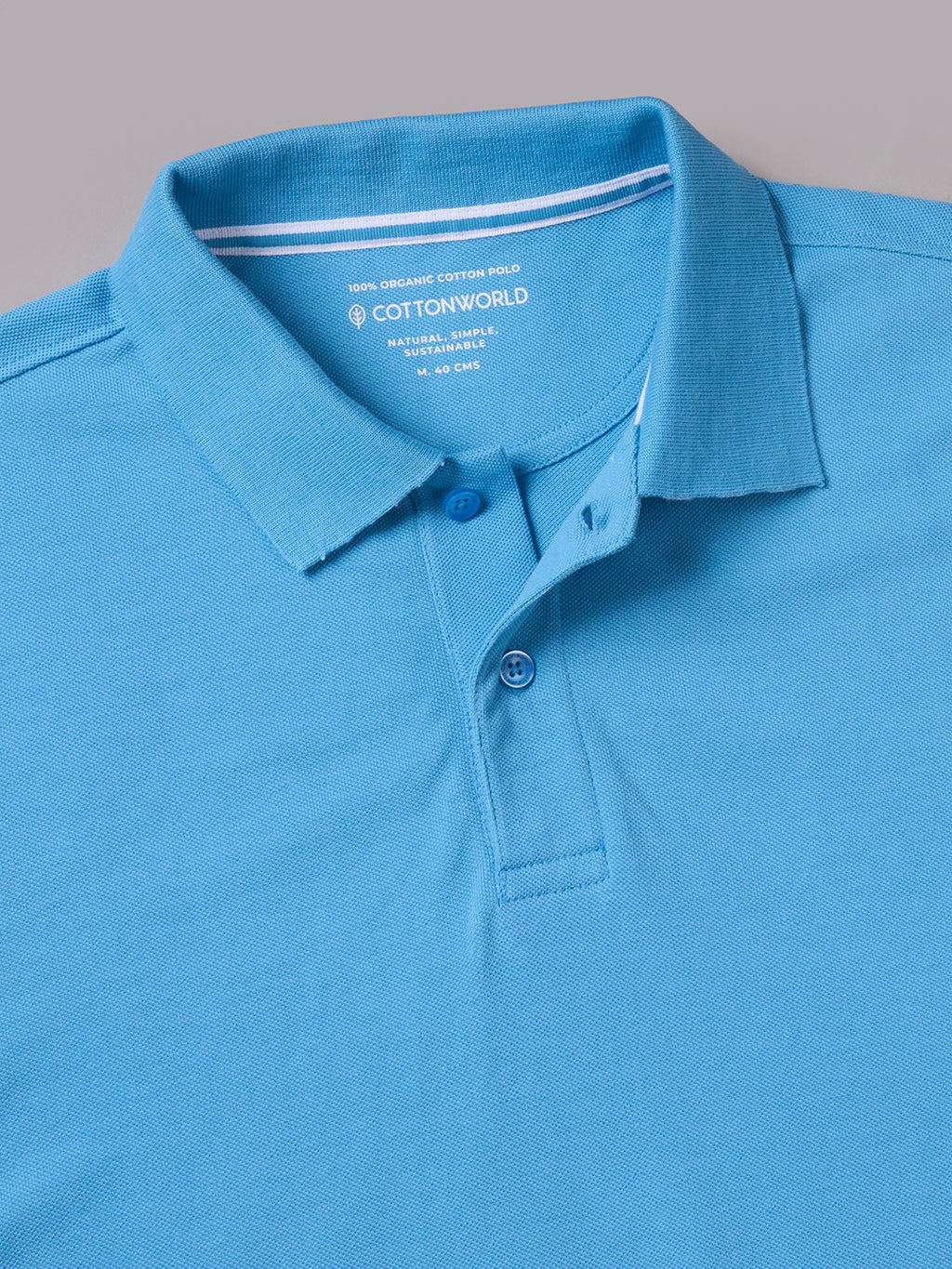 Men's Blue 100% Organic Cotton Regular Fit Tshirt