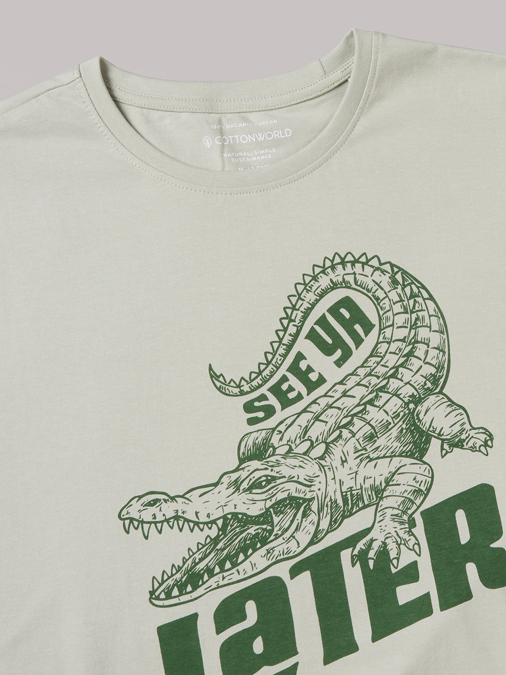 Men's Green 100% Organic Cotton Regular Fit Tshirt