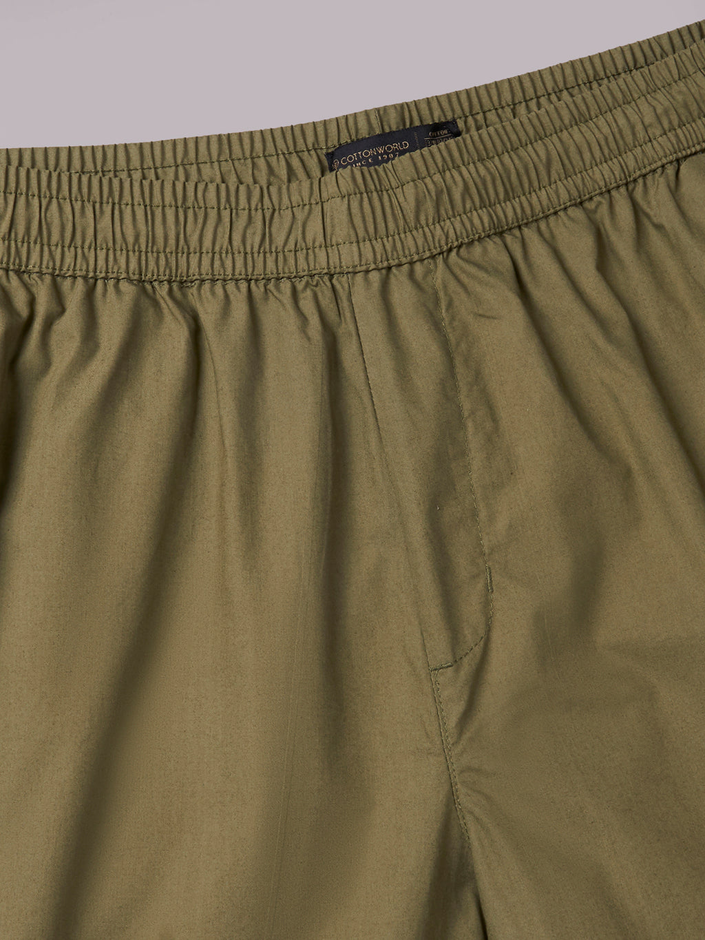 Men's Olive 100% Cotton Regular Fit Pant