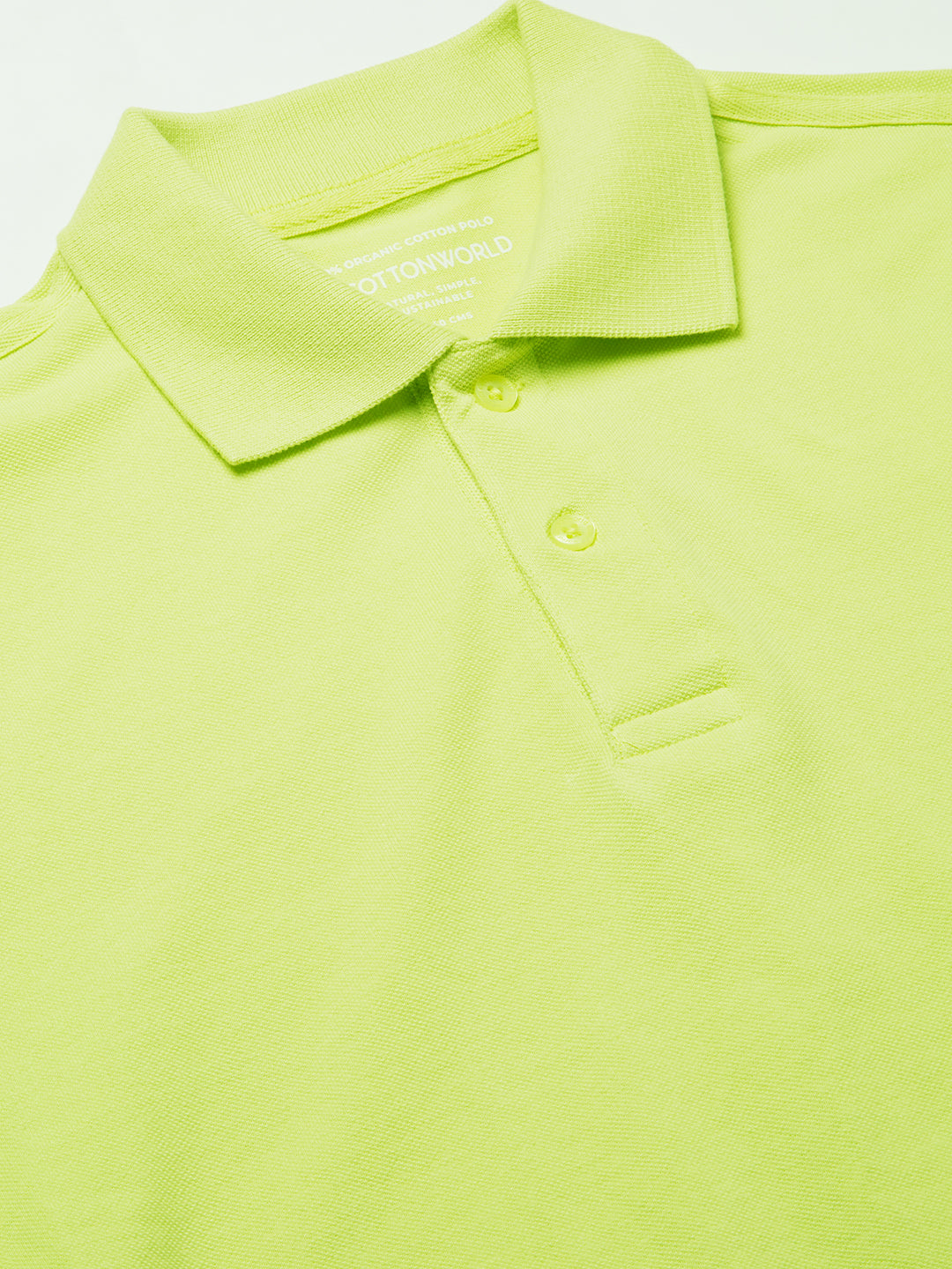 Men's Green 100% Cotton Regular Fit Tshirt