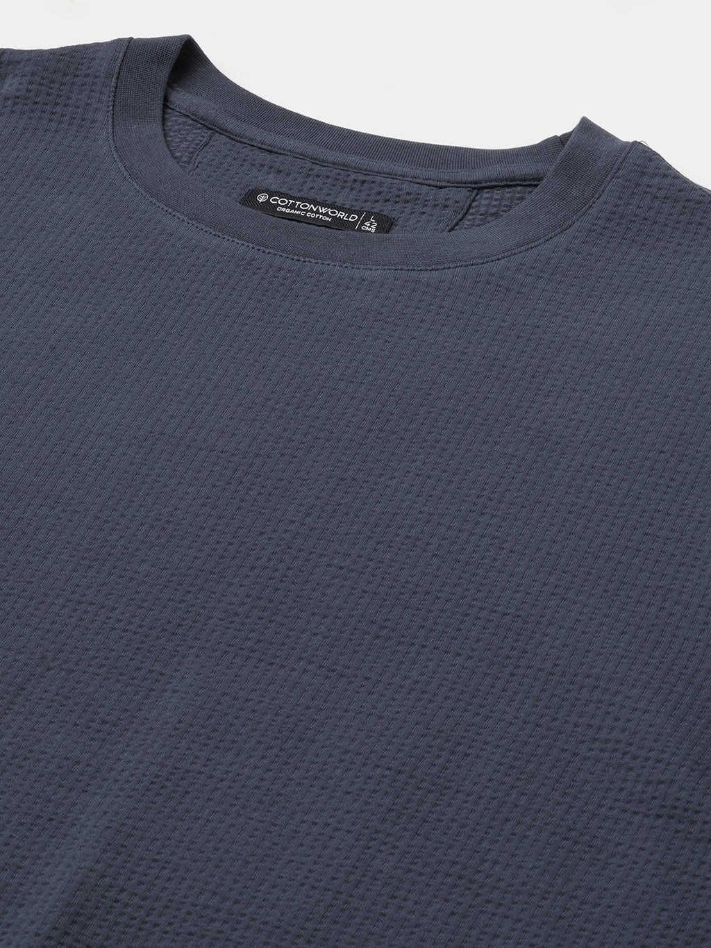Men's Blue Cotton Elastane Regular Fit Tshirt