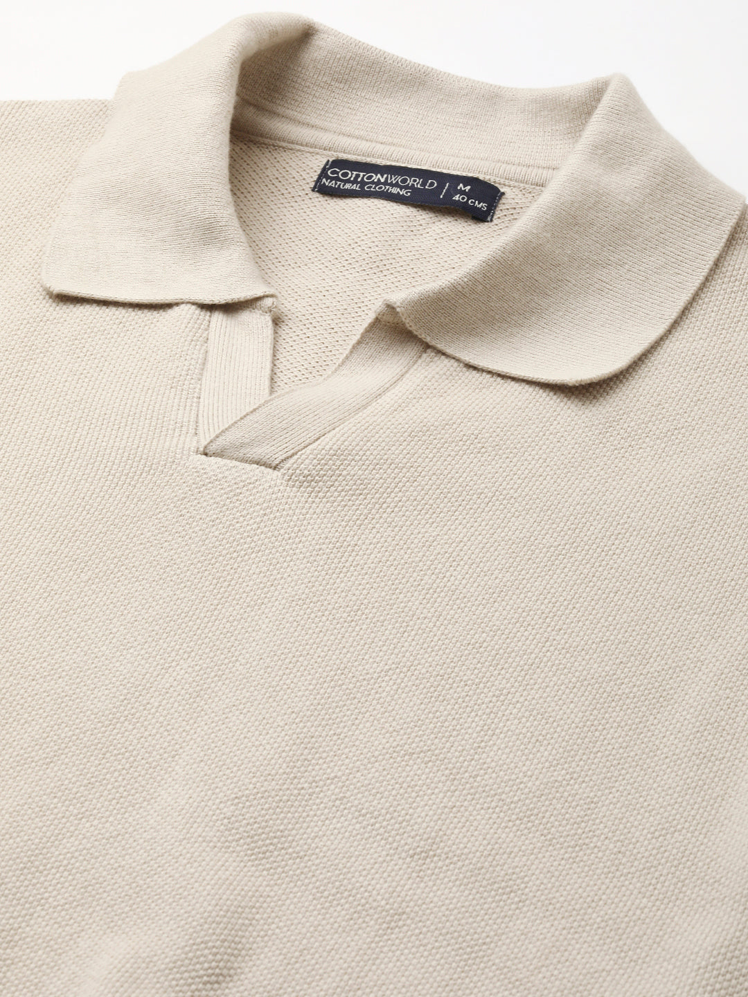 Men's Beige Cotton Regular Fit Tshirt