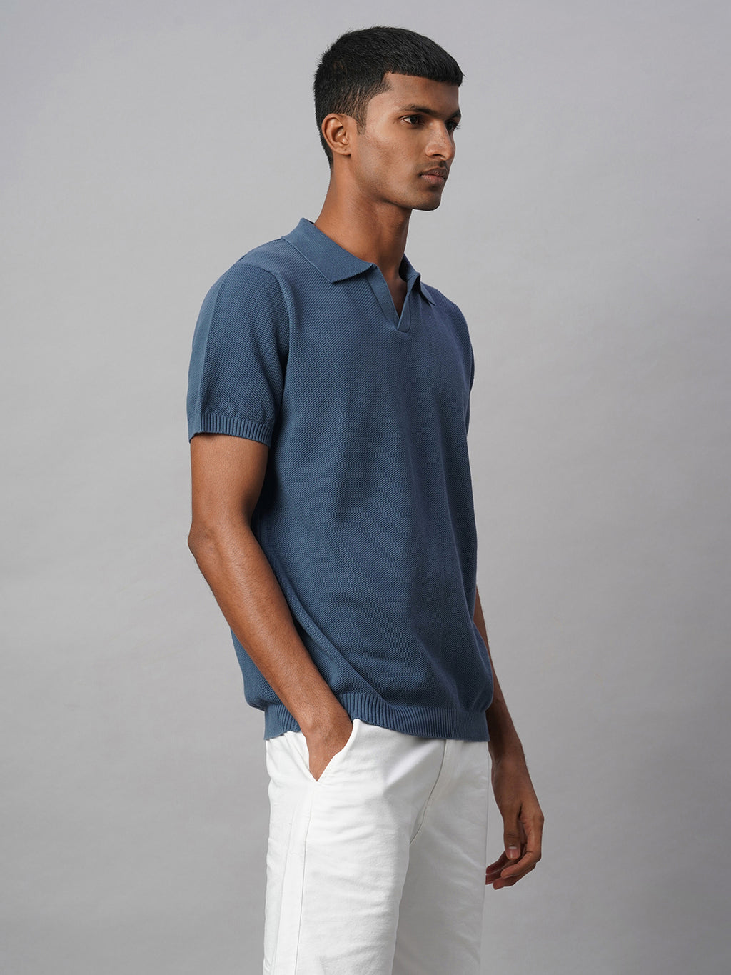 Men's Blue 100% Cotton Regular Fit Tshirt