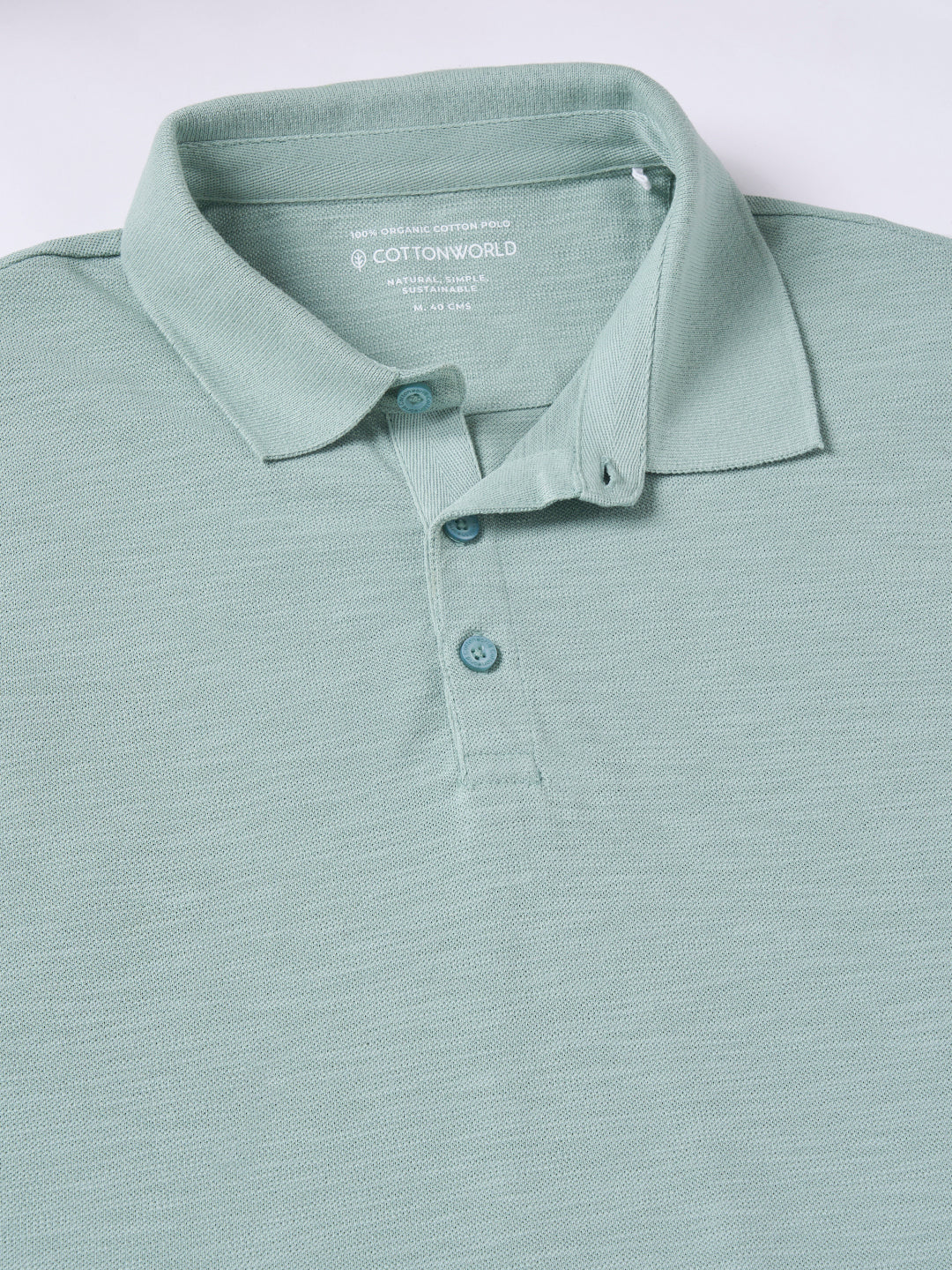 Men's Green 100% Organic Cotton Regular Fit Tshirt